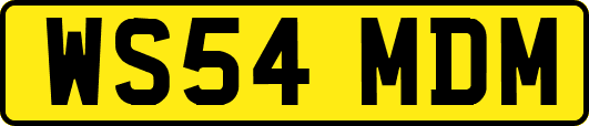 WS54MDM