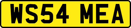 WS54MEA