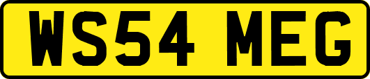 WS54MEG