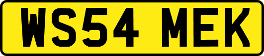 WS54MEK