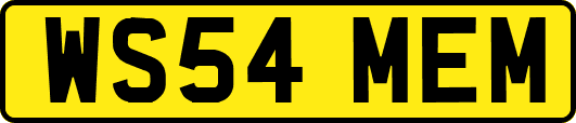 WS54MEM