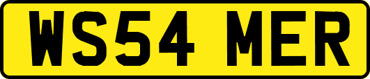 WS54MER