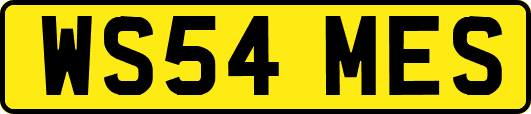 WS54MES