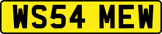 WS54MEW