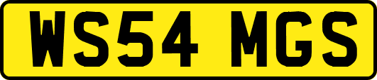 WS54MGS