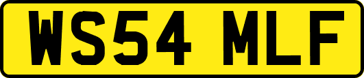 WS54MLF