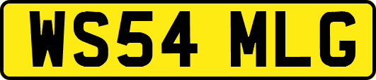 WS54MLG
