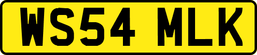 WS54MLK