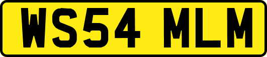 WS54MLM