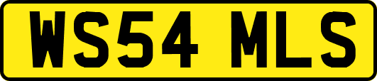 WS54MLS