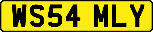 WS54MLY