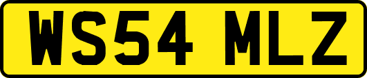 WS54MLZ