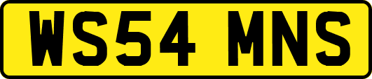 WS54MNS