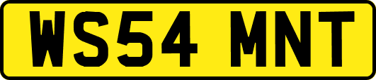 WS54MNT