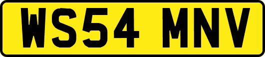 WS54MNV