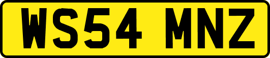 WS54MNZ