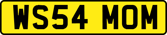 WS54MOM