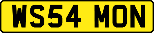 WS54MON