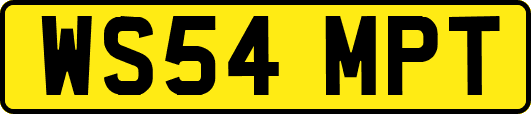 WS54MPT