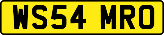 WS54MRO