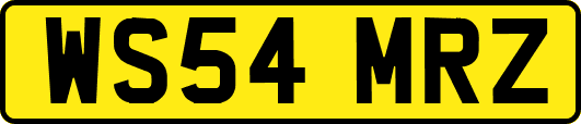 WS54MRZ