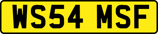 WS54MSF