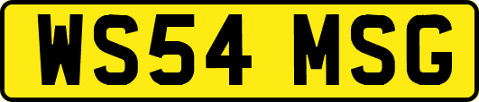 WS54MSG