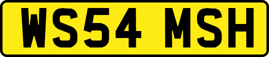 WS54MSH