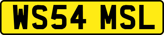 WS54MSL
