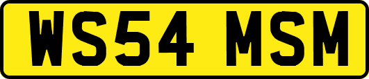 WS54MSM