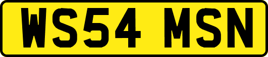 WS54MSN