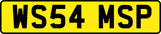 WS54MSP