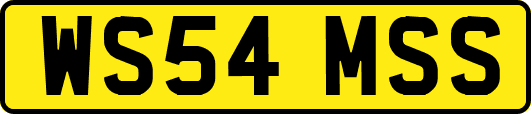 WS54MSS