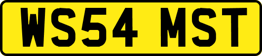 WS54MST