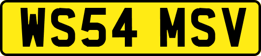 WS54MSV