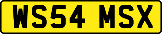 WS54MSX