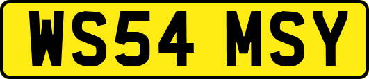 WS54MSY