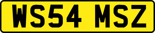 WS54MSZ