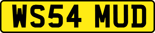 WS54MUD