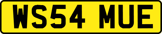 WS54MUE