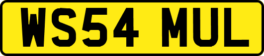 WS54MUL