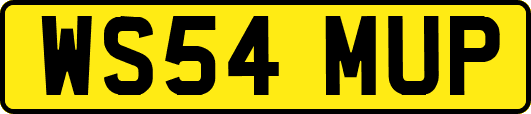 WS54MUP