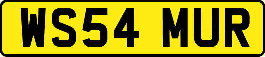 WS54MUR