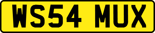 WS54MUX