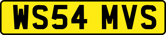 WS54MVS