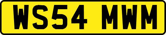 WS54MWM