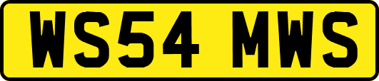 WS54MWS