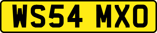 WS54MXO