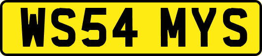 WS54MYS