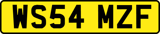 WS54MZF